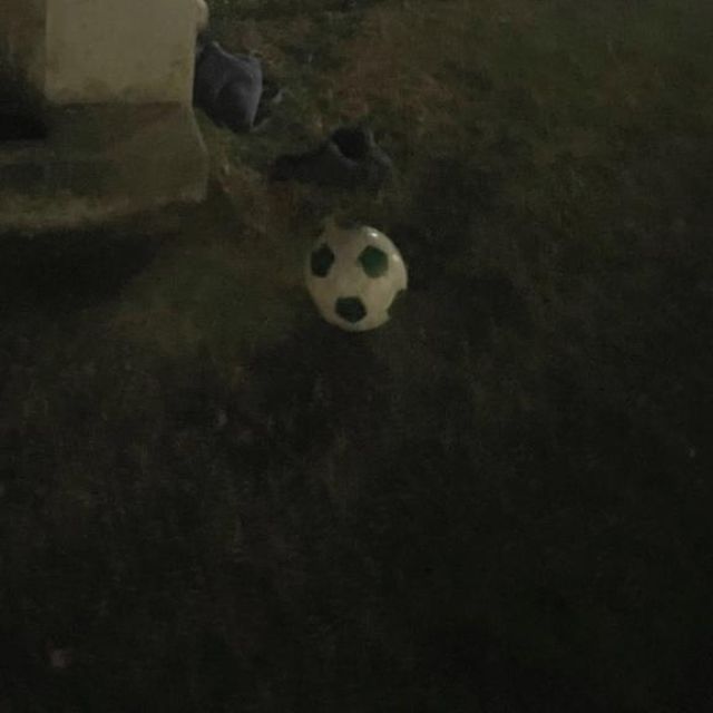 千葉風俗・千葉市発デリヘル風俗【キャンパスサミット千葉店】こはる【お腹がよじれるくらい笑った日】