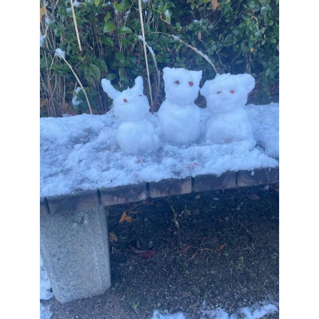 船橋デリヘル風俗｜船橋 西船橋 デリバリーヘルス【キャンパスサミット船橋店】こはるの日記画像