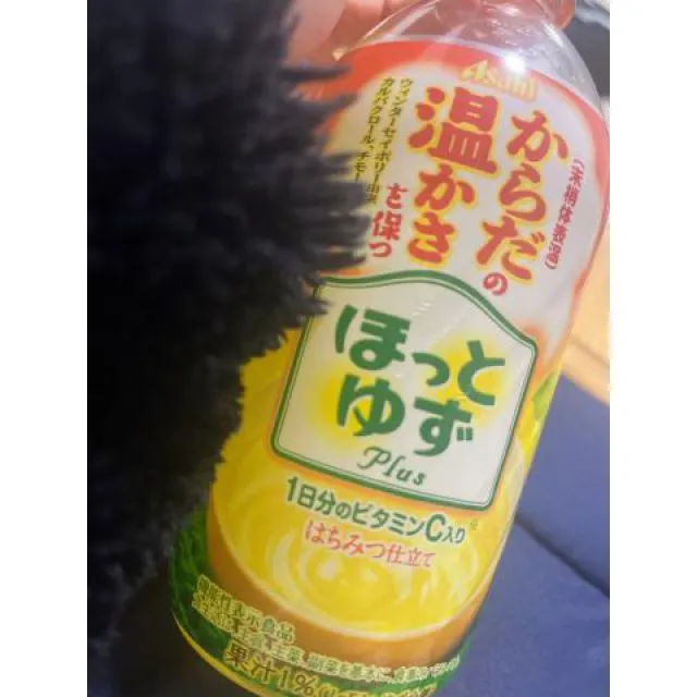 船橋デリヘル風俗｜船橋 西船橋 デリバリーヘルス【キャンパスサミット船橋店】になの日記画像