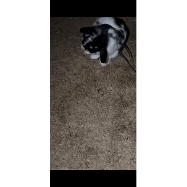 千葉風俗・千葉市発デリヘル風俗【キャンパスサミット千葉店】にな【おはよ】