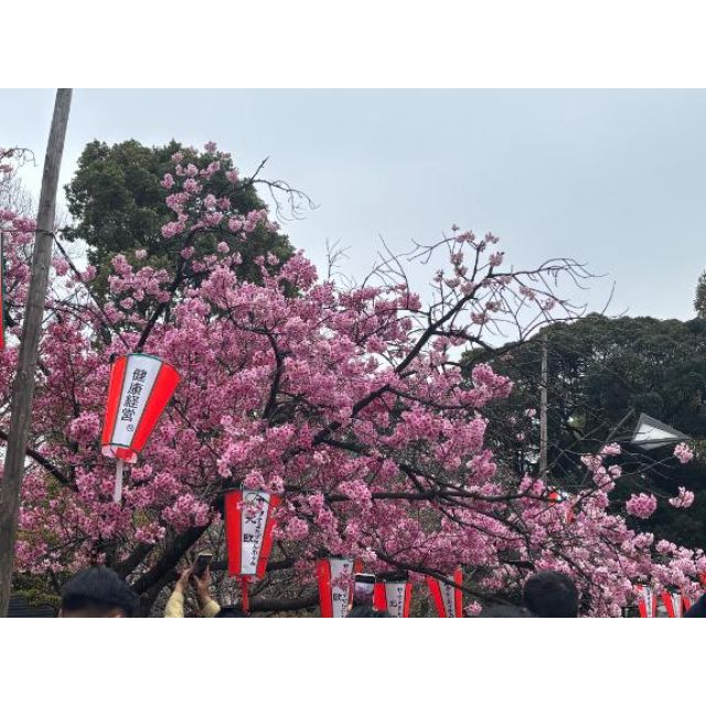 千葉風俗・千葉市発デリヘル風俗【キャンパスサミット千葉店】らく【おはようございます！】