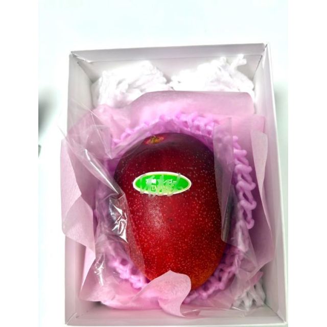 千葉風俗・千葉市発デリヘル風俗【キャンパスサミット千葉店】あむさん【わあい】日記画像