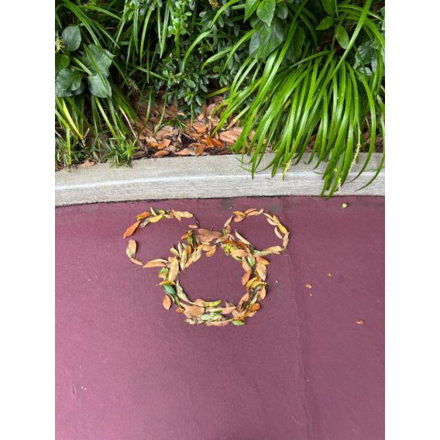 千葉風俗・千葉市発デリヘル風俗【キャンパスサミット千葉店】みうさん【ᜊᐡ⸝⸝ᴗ...】日記画像