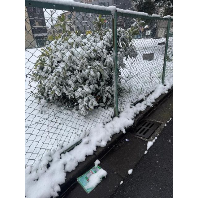 船橋デリヘル風俗｜船橋 西船橋 デリバリーヘルス【キャンパスサミット船橋店】みなみ【雪】日記画像