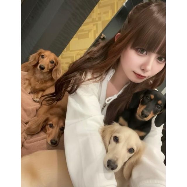 船橋デリヘル風俗｜船橋 西船橋 デリバリーヘルス【キャンパスサミット船橋店】ひな【犬派？猫派？♡】日記画像