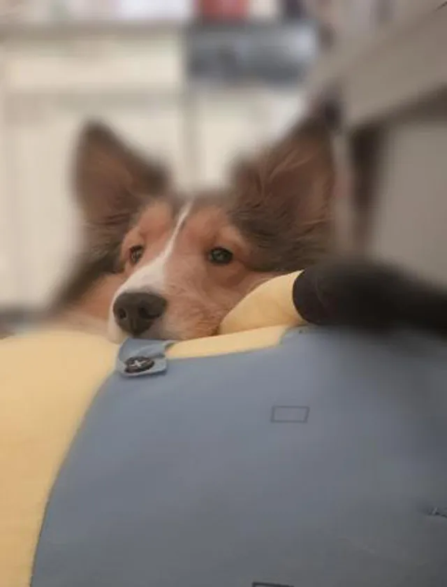 錦糸町デリヘル風俗｜錦糸町 小岩 デリバリーヘルス【キャンパスサミット錦糸町店】もかの日記画像