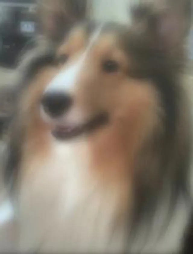 錦糸町デリヘル風俗｜錦糸町 小岩 デリバリーヘルス【キャンパスサミット錦糸町店】もかの日記画像