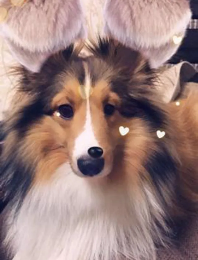 錦糸町デリヘル風俗｜錦糸町 小岩 デリバリーヘルス【キャンパスサミット錦糸町店】もかの日記画像