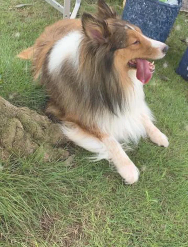 錦糸町デリヘル風俗｜錦糸町 小岩 デリバリーヘルス【キャンパスサミット錦糸町店】もかの日記