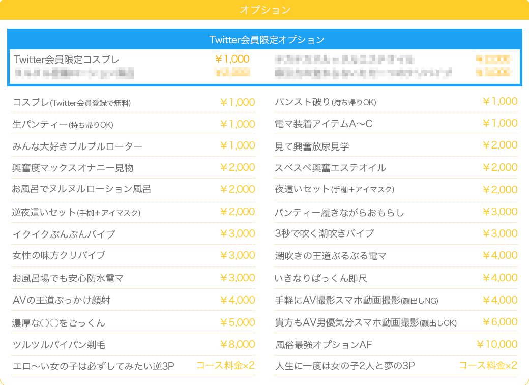 千葉風俗・千葉市発デリヘル風俗【キャンパスサミット千葉店】オプション