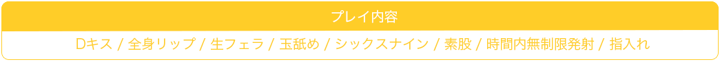 千葉風俗・千葉市発デリヘル風俗【キャンパスサミット千葉店】プレイ内容