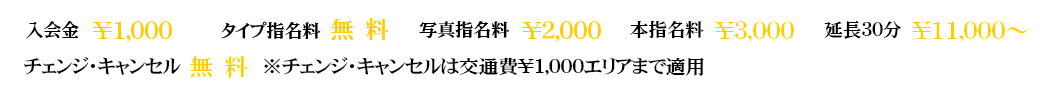 千葉風俗・千葉市発デリヘル風俗【キャンパスサミット千葉店】コース料金